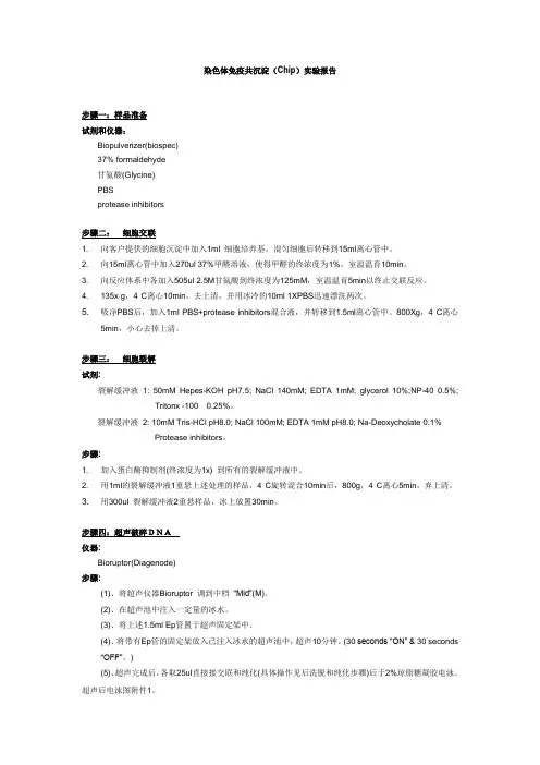 免疫共沉淀实验流程--chip