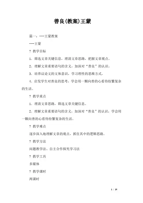 善良(教案)王蒙