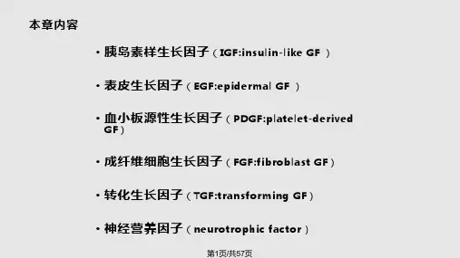 表皮生长因子PPT课件