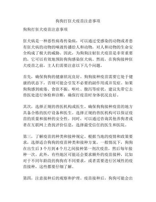 狗狗打狂犬疫苗注意事项