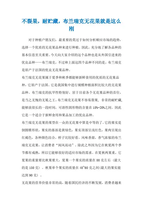 不裂果,耐贮藏,布兰瑞克无花果就是这么刚