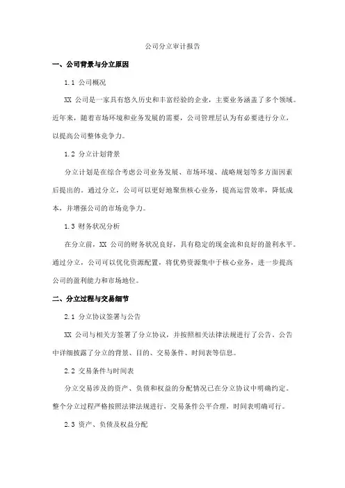 公司分立审计报告