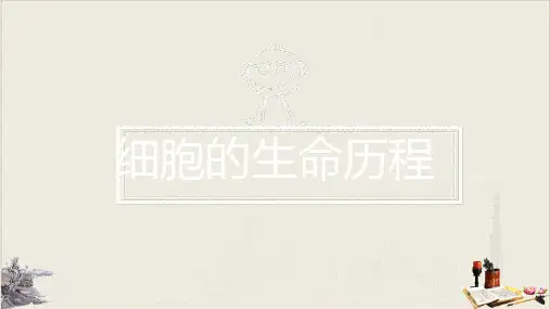【人教版】细胞的生命历程PPT完整版1