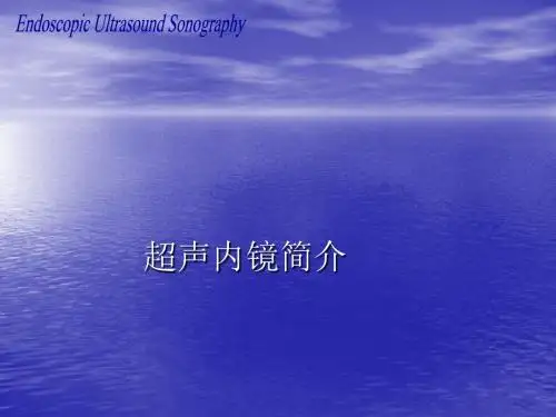 超声内镜简介ppt课件