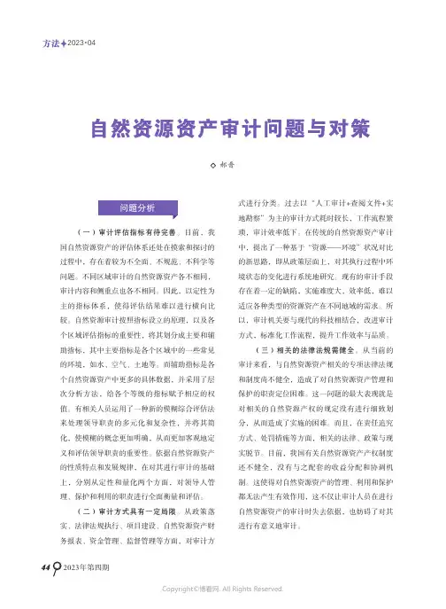 自然资源资产审计问题与对策