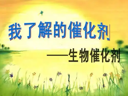 我了解的催化剂