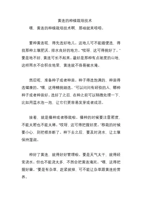 黄连的种植栽培技术