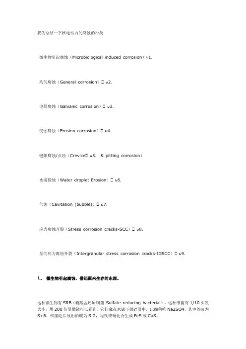 核电站腐蚀