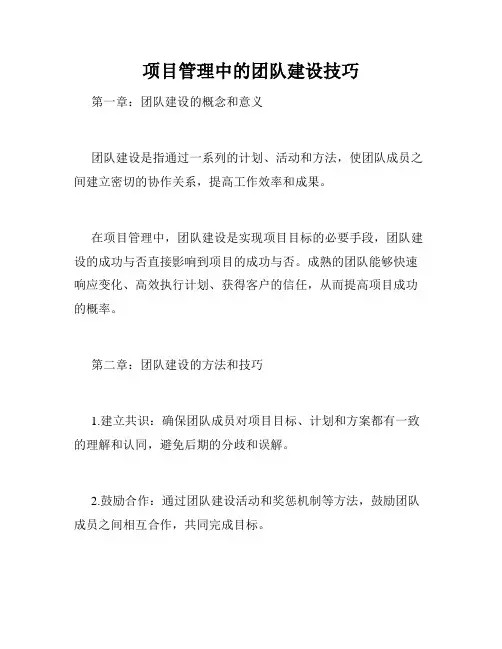 项目管理中的团队建设技巧