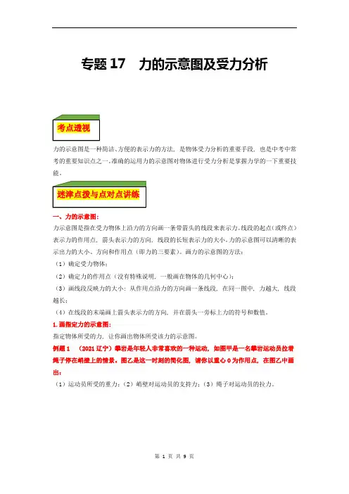 专题17--力的示意图及受力分析(解析版)
