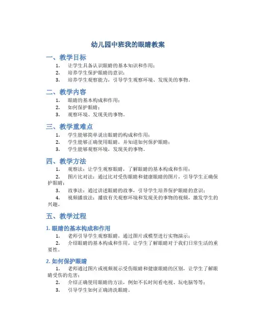 幼儿园中班我的眼睛教案