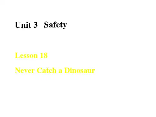 冀教版九年级上册英语《Never Catch a Dinosaur》Safety 课件教学说课