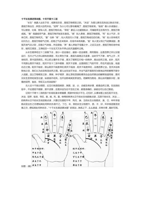 十干长生顺逆掌诀图