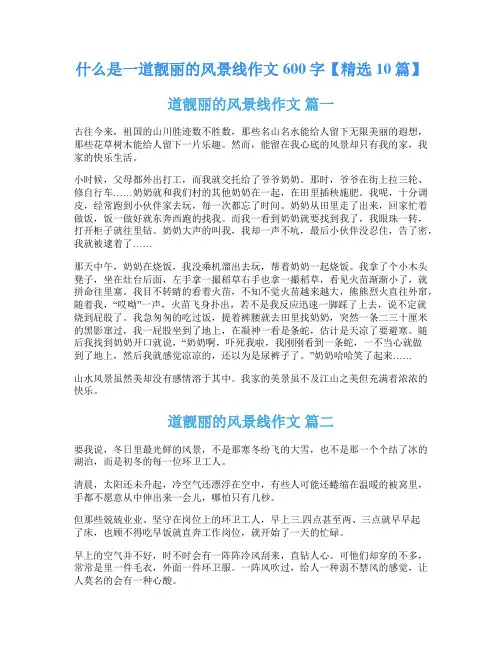 什么是一道靓丽的风景线作文600字【精选10篇】