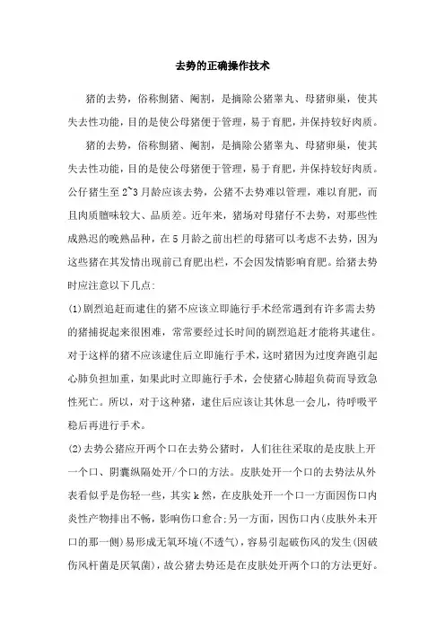 去势的正确操作技术
