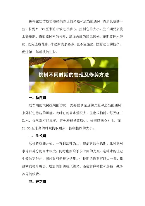 桃树不同时期的管理及修剪方法
