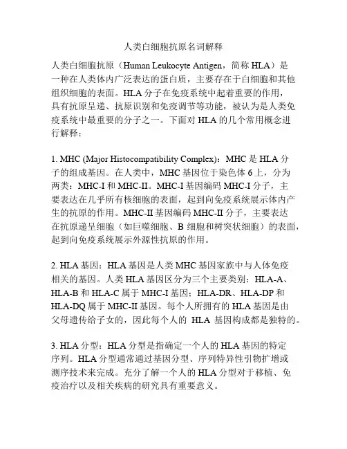 人类白细胞抗原名词解释