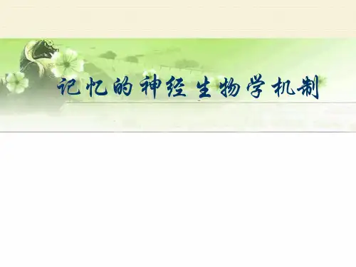 记忆的神经生物学机制