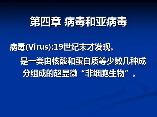第三章 病毒和亚病毒