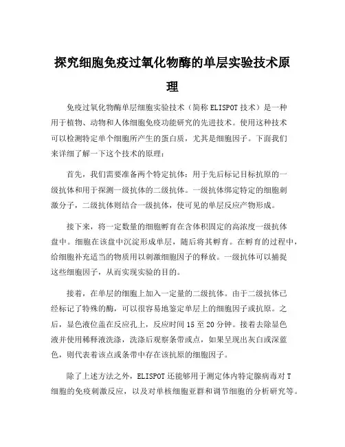 免疫过氧化物酶单层细胞实验技术原理
