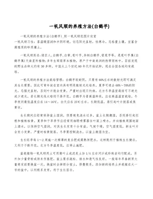 一帆风顺的养殖方法(白鹤芋)