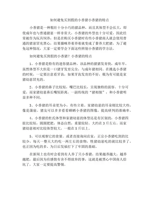 如何避免买到假的小香猪小香猪的特点