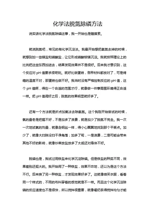 化学法脱氮除磷方法