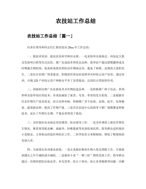 农技站工作总结