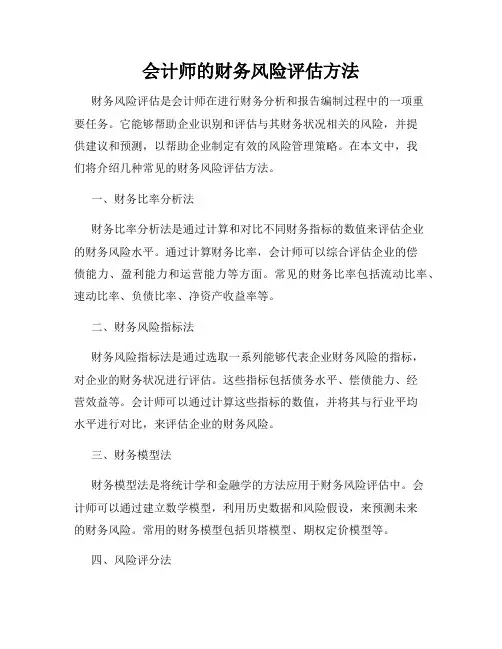 会计师的财务风险评估方法
