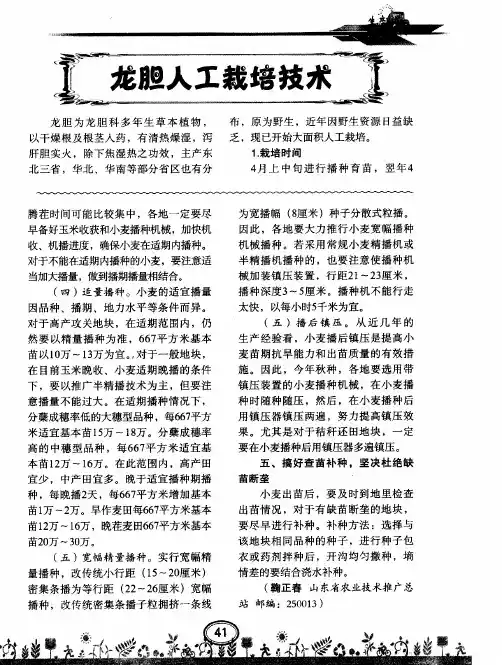 龙胆人工栽培技术