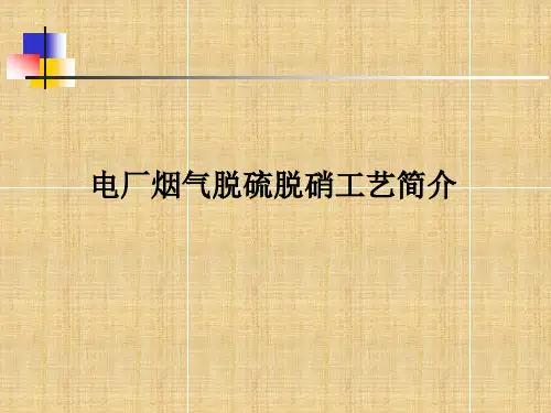 电厂脱硫脱硝工艺介绍ppt课件