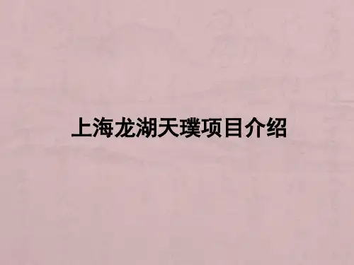 上海龙湖天璞项目介绍