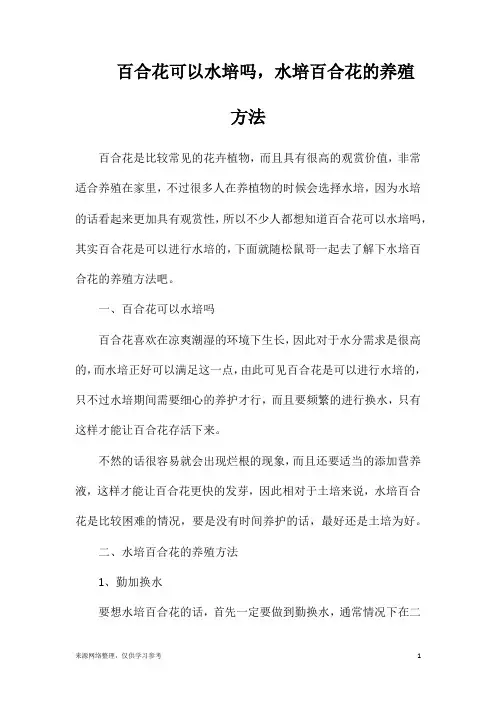 百合花可以水培吗,水培百合花的养殖方法