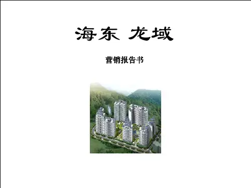 众厦-惠州市海东龙域地产项目营销策划提案报告-88PPT