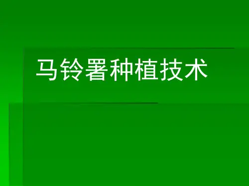 马铃薯种植技术(培训课件PPT)