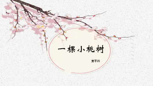 《一棵小桃树》PPT教学课文课件