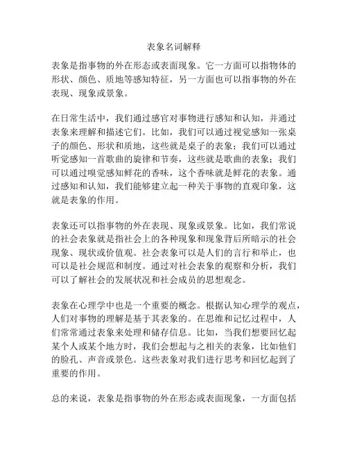 表象名词解释