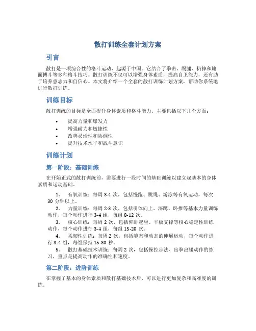 散打训练全套计划方案