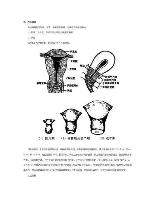 妇产科护理学主管护师考试重点整理第一章第二节