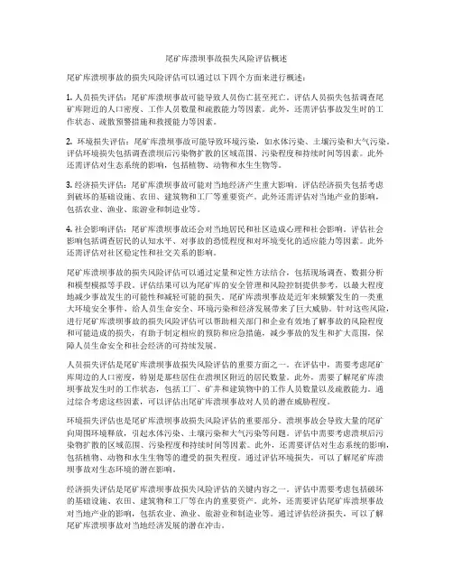 尾矿库溃坝事故损失风险评估概述