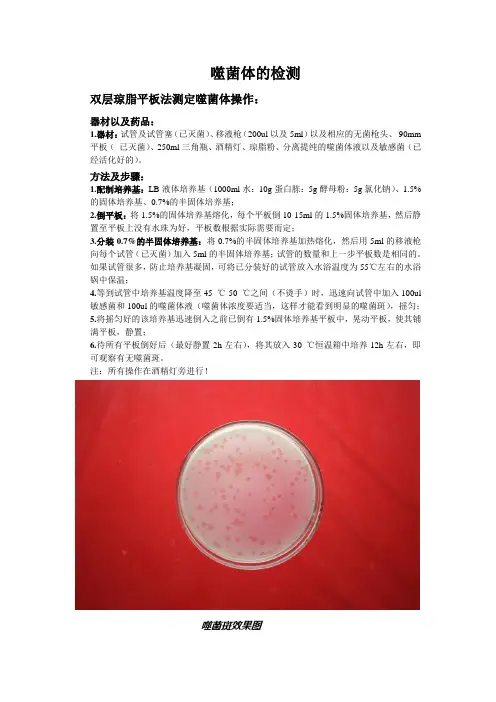 噬菌体的检测