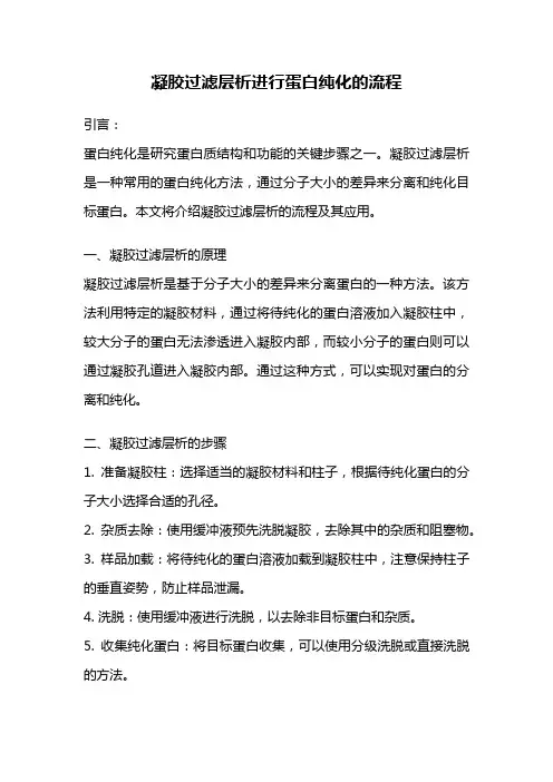 凝胶过滤层析进行蛋白纯化的流程