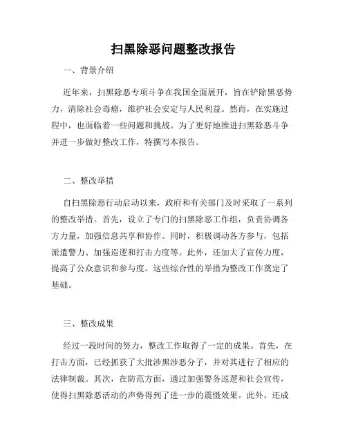扫黑除恶问题整改报告