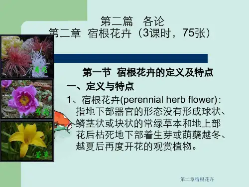 第二章宿根花卉