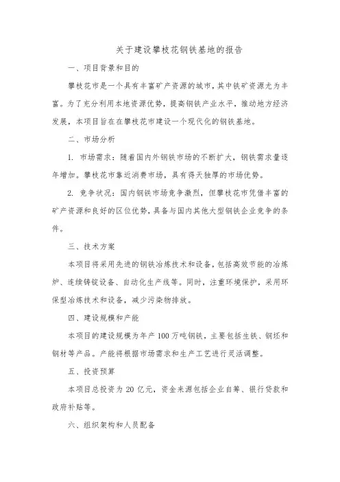 关于建设攀枝花钢铁基地的报告