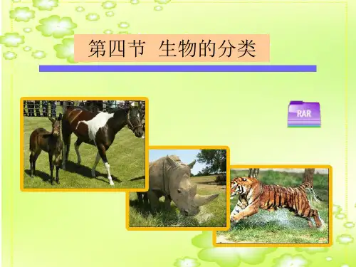 《生物的分类》(最新版)PPT