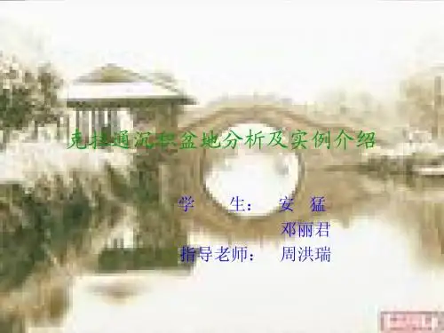 克拉通沉积盆地分析PPT