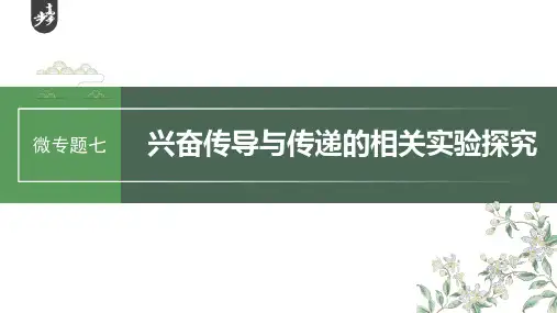 第八单元 微专题七 兴奋传导与传递的相关实验探究