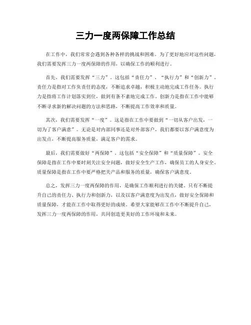 三力一度两保障工作总结