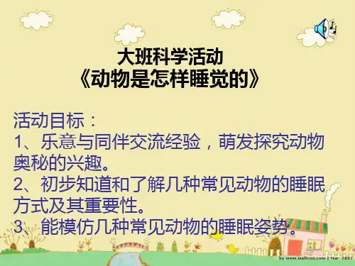 幼儿园ppt课件动物怎样睡觉